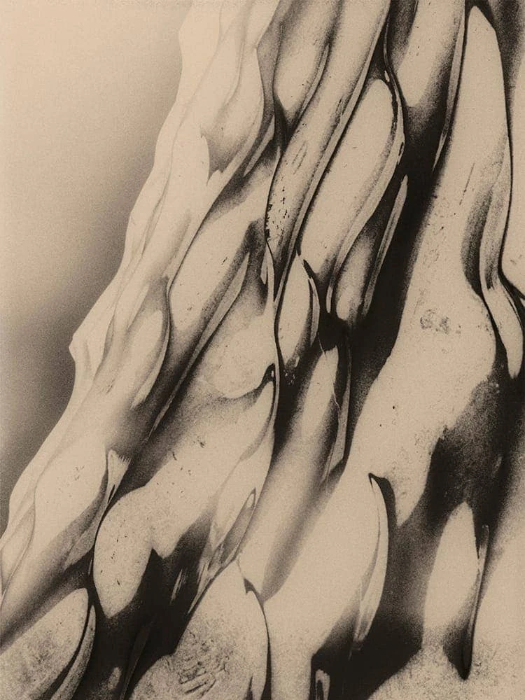 Francisco Gonzalez Camacho - Photo 2