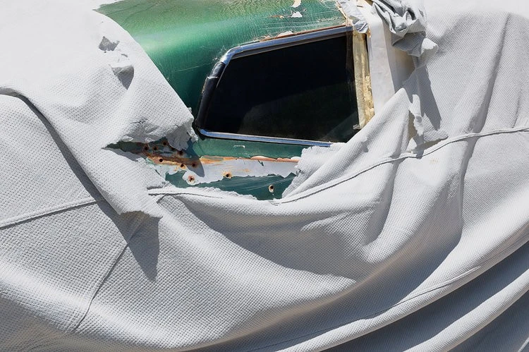 Francois Bellabas - Photo 4