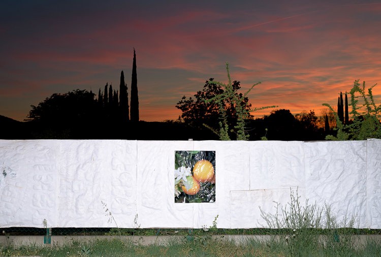 Francois Ollivier - Photo 1