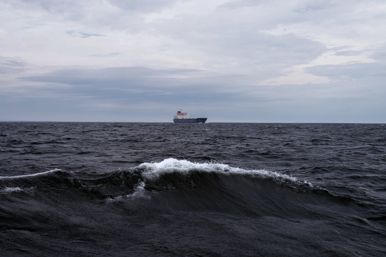 Francois Ollivier - Photo 3