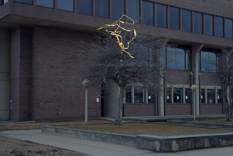 Francois Ollivier - Photo 5