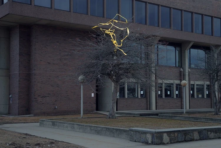 Francois Ollivier - Photo 5