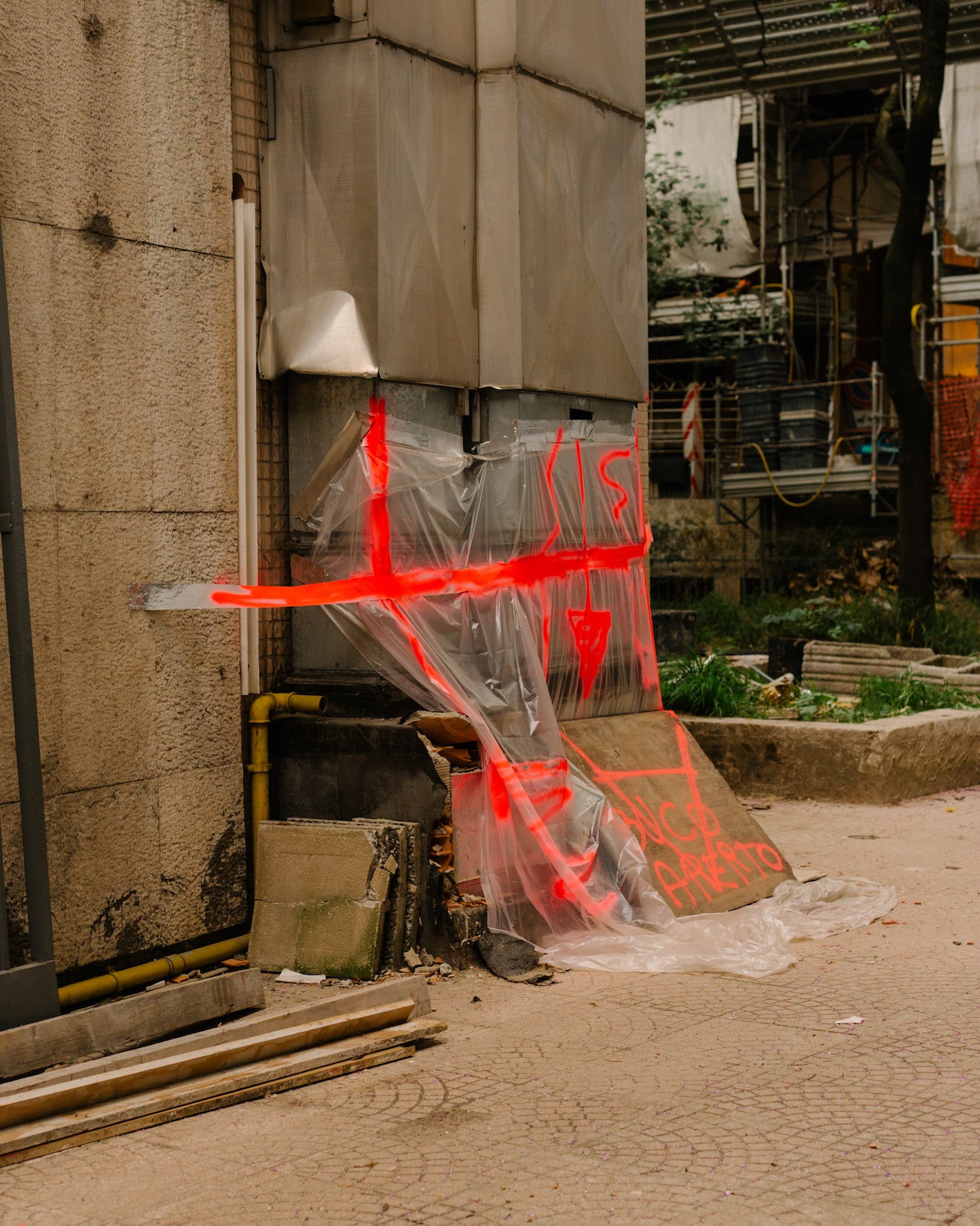 Giacomo Alberico - Photo 1