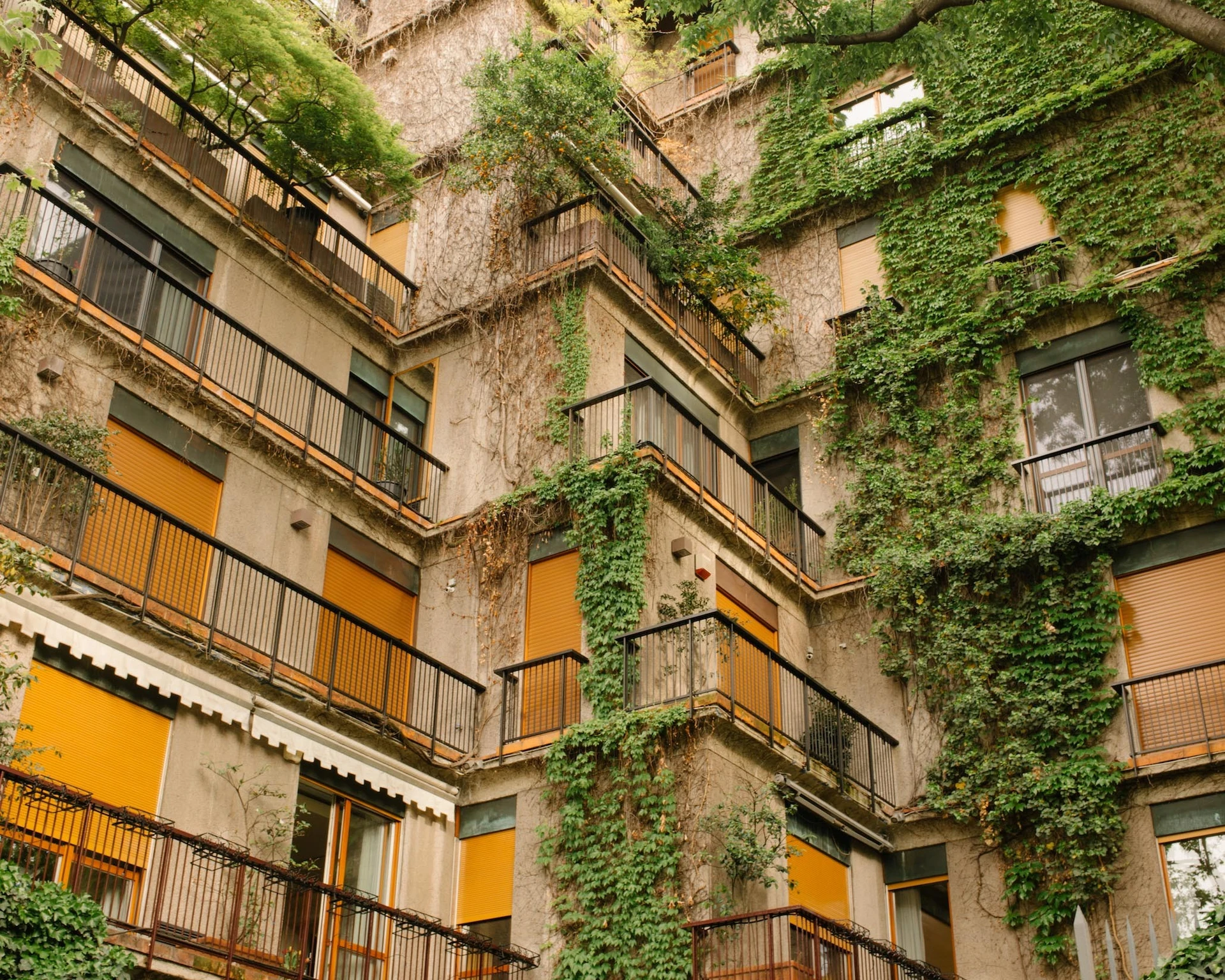 Giacomo Alberico - Photo 3