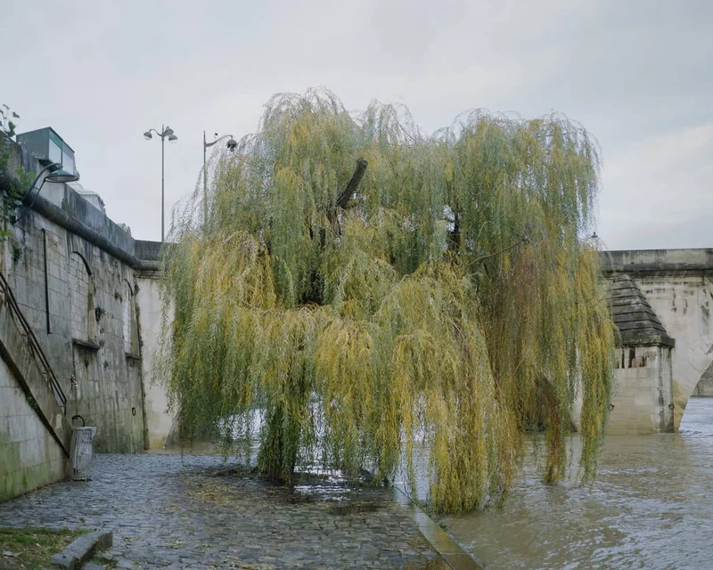 Gleb Simonov - Photo 1