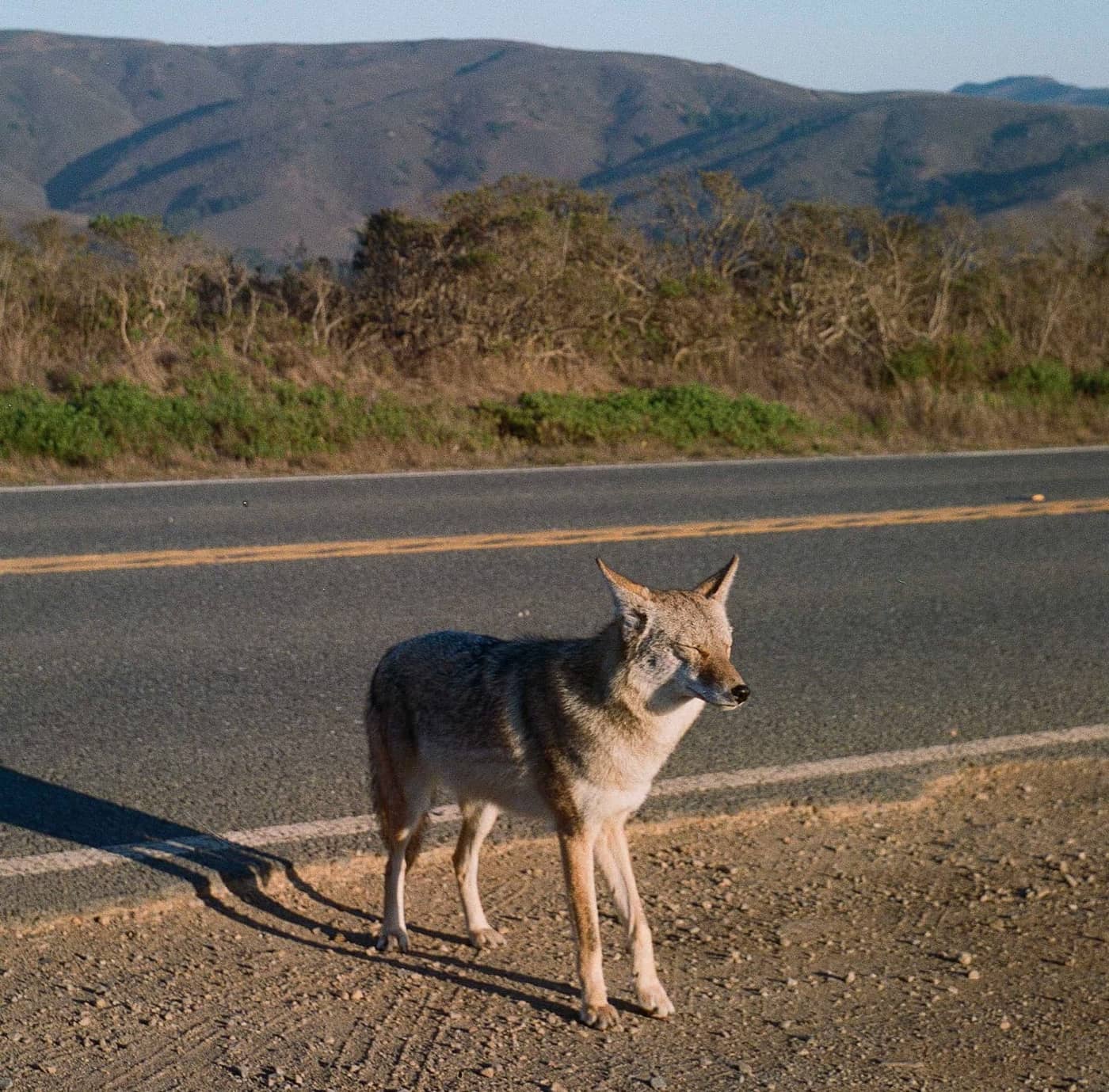 Grady Neilan - Photo 1