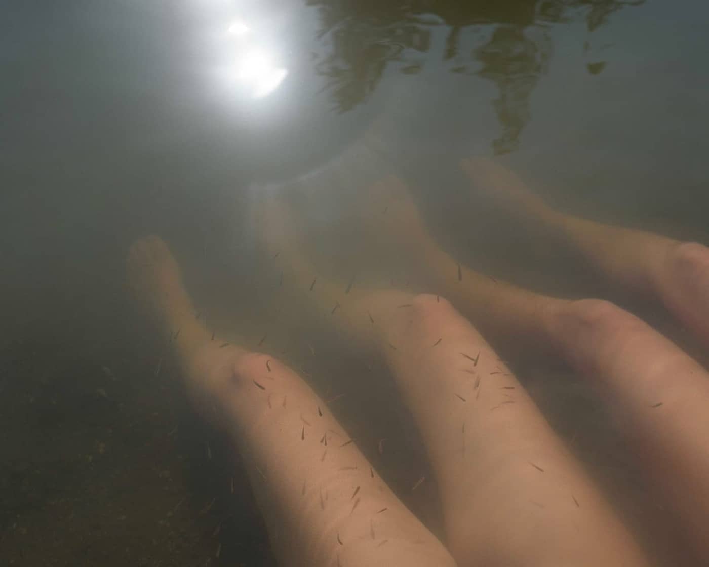 Grady Neilan - Photo 3