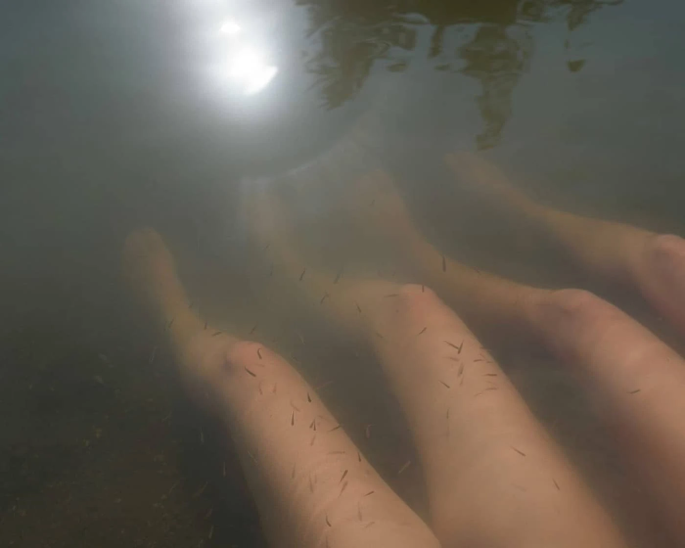 Grady Neilan - Photo 3