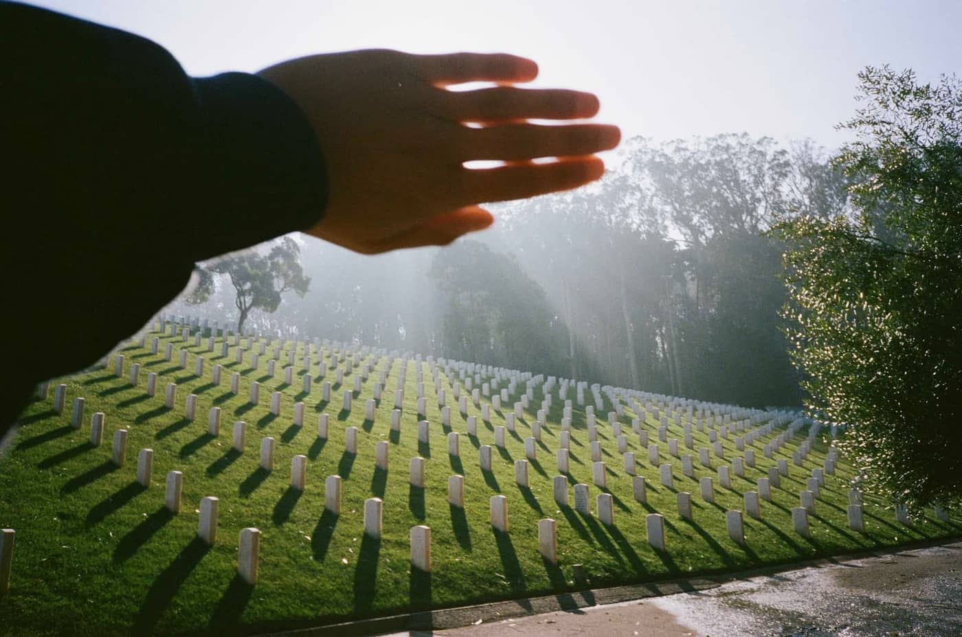 Grady Neilan - Photo 4