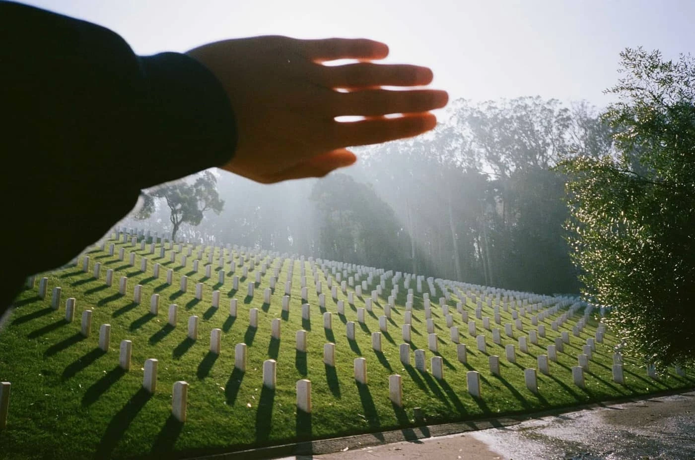 Grady Neilan - Photo 4