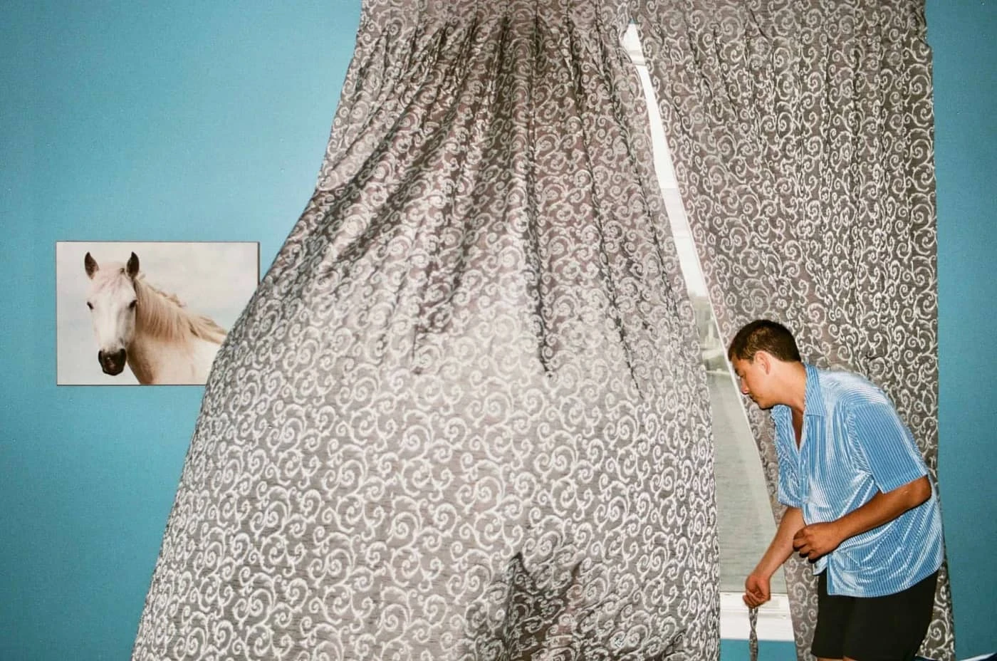 Grady Neilan - Photo 5