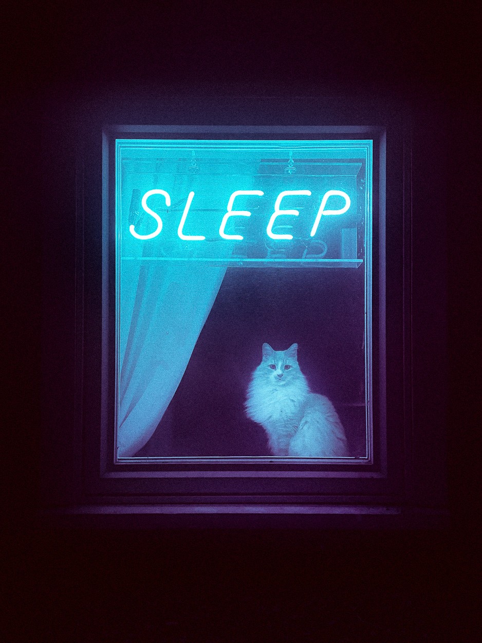 Greg Maguire - Photo 1