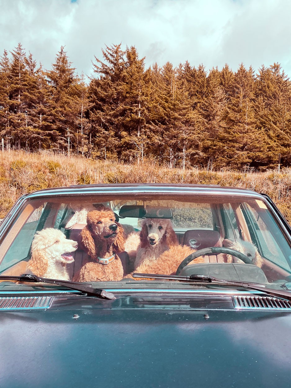 Greg Maguire - Photo 2