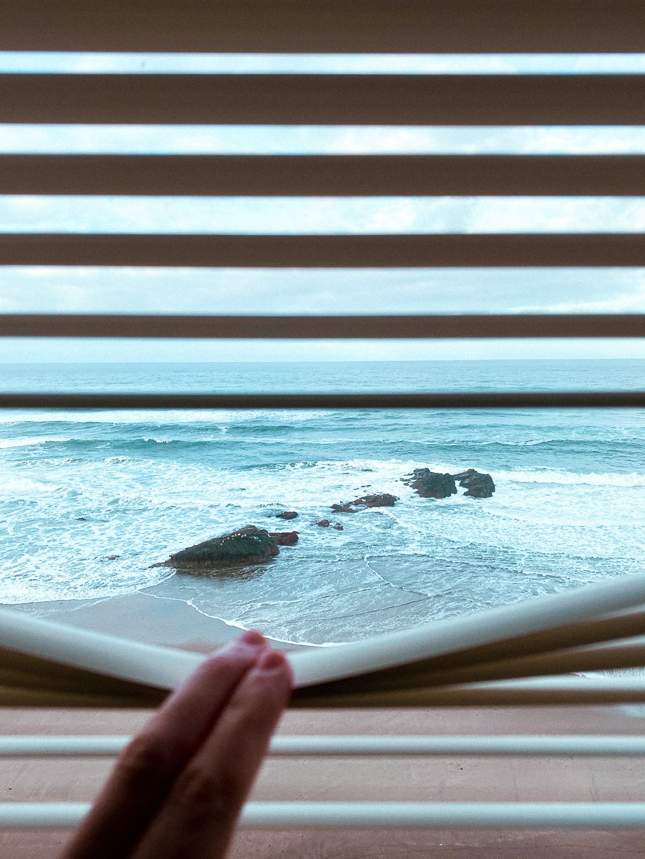 Greg Maguire - Photo 3