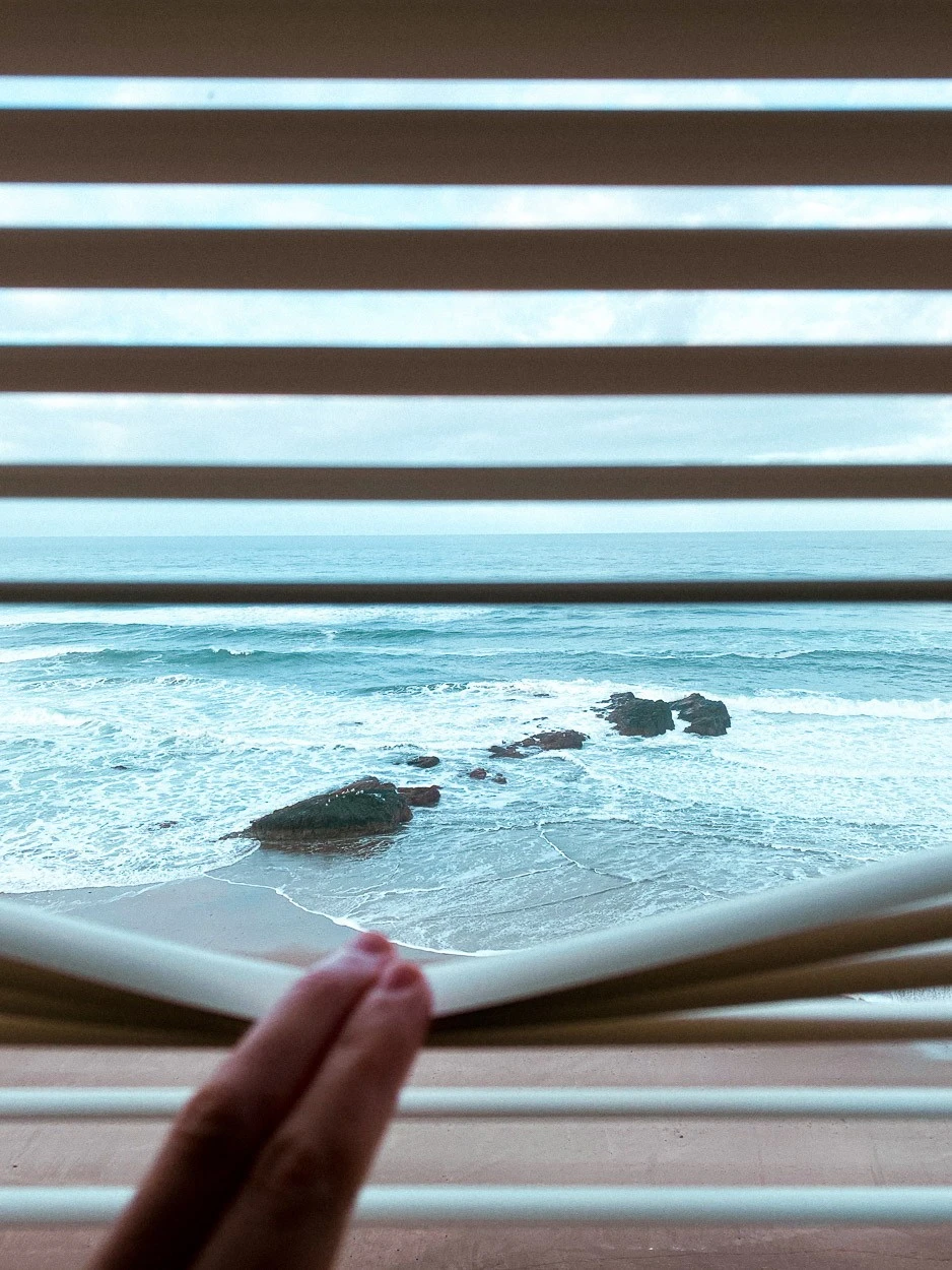 Greg Maguire - Photo 3