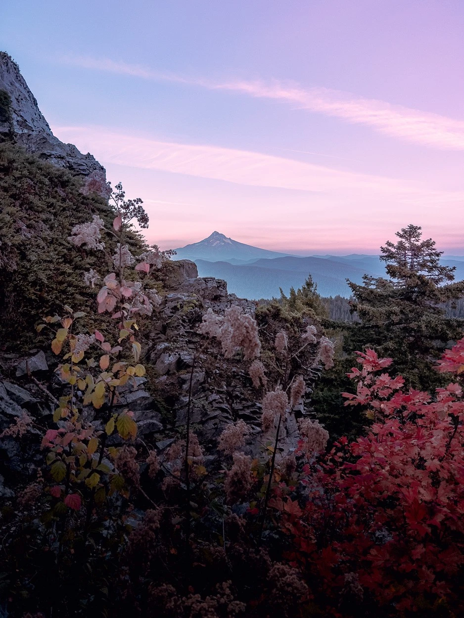 Greg Maguire - Photo 4