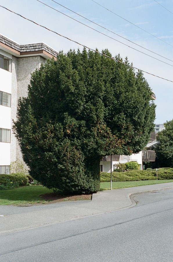 Guy Ferguson - Photo 2