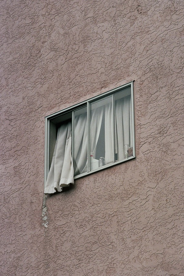 Guy Ferguson - Photo 3