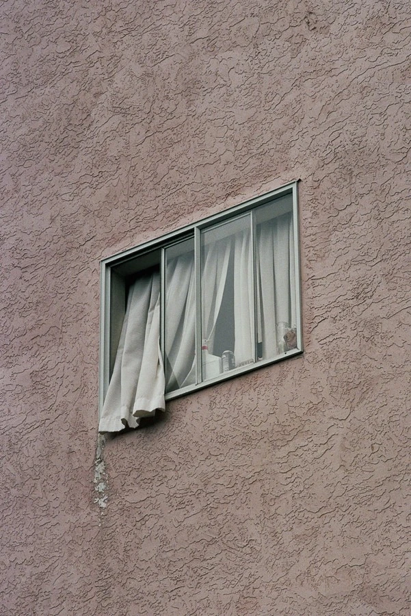 Guy Ferguson - Photo 3