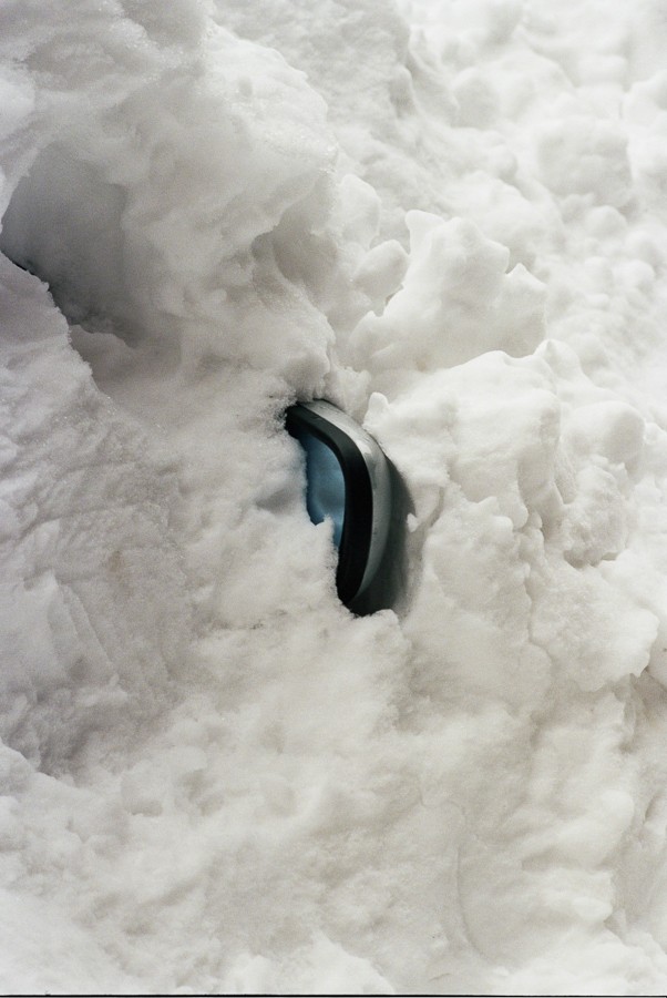 Guy Ferguson - Photo 5