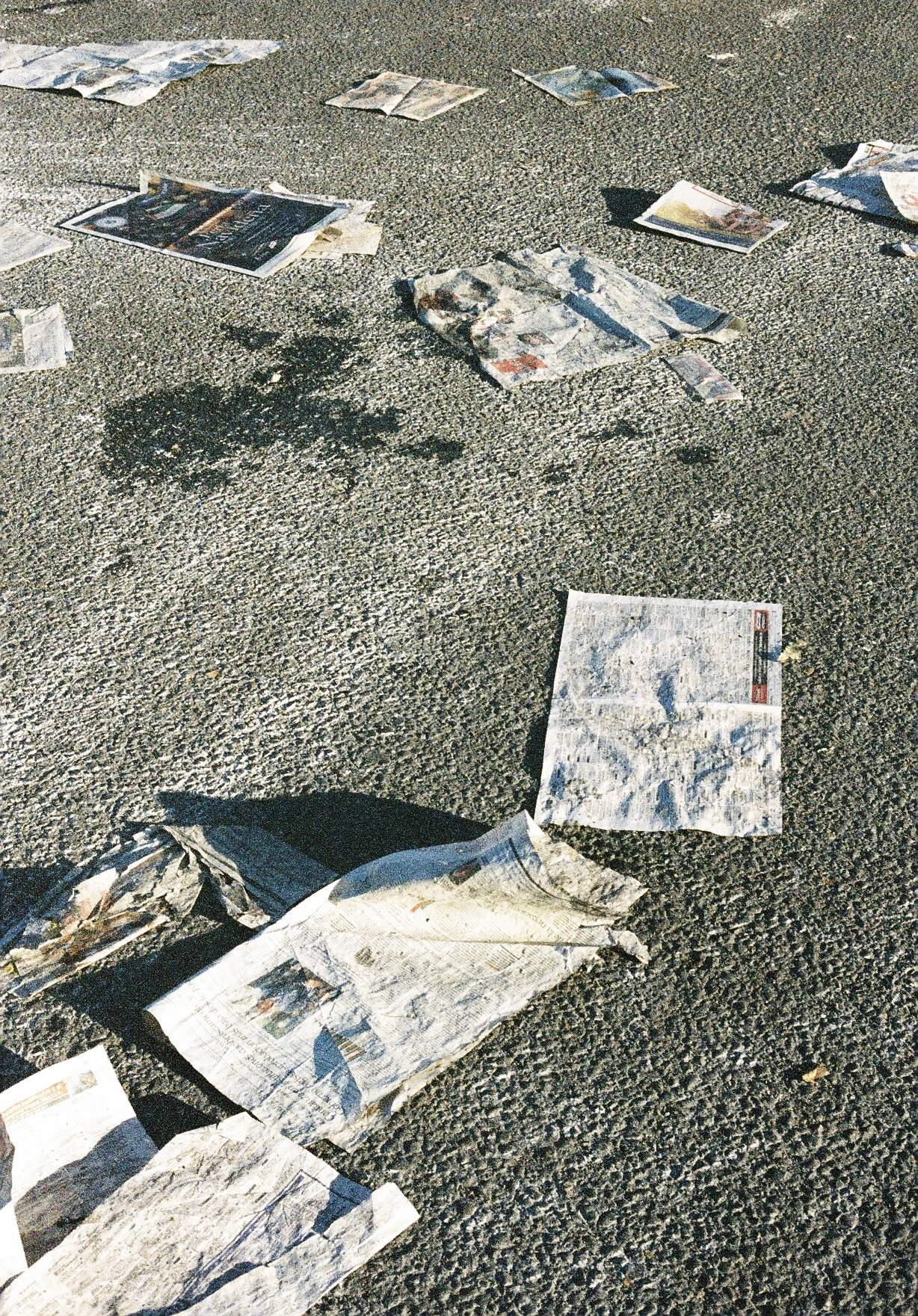 IGNACIO GUITIERREZ OHLSSON - Photo 3