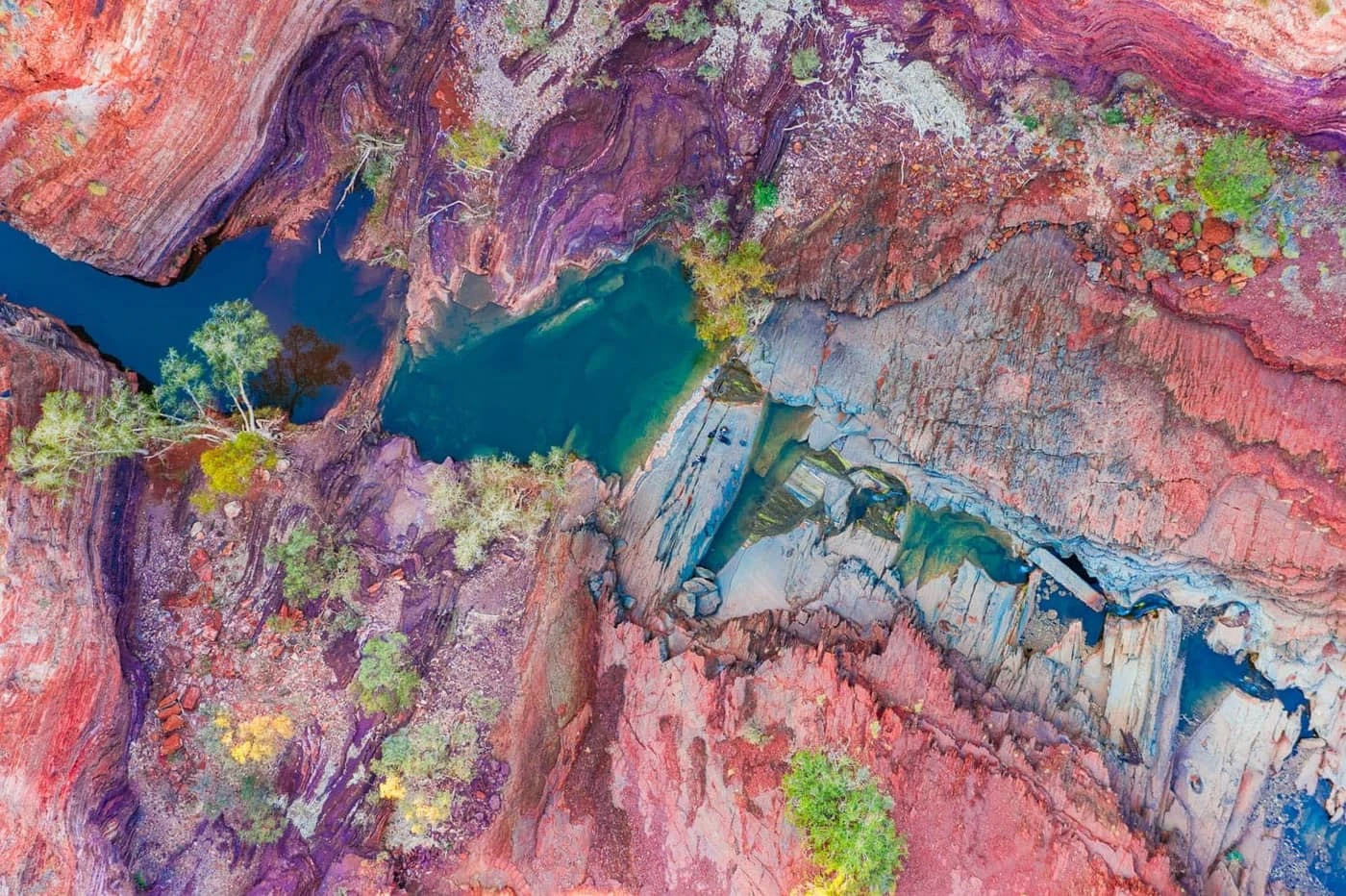 Imogen Blow - Photo 5