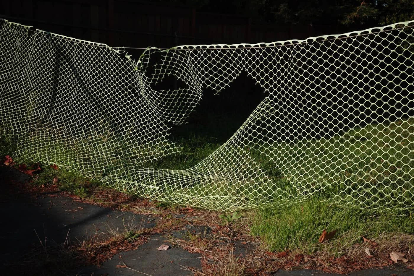 Jacob Heiny - Photo 3