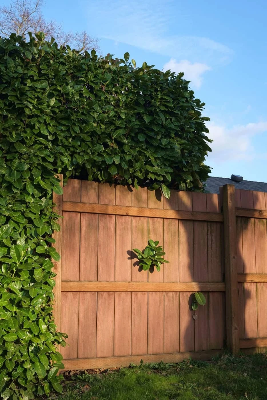 Jacob Heiny - Photo 5