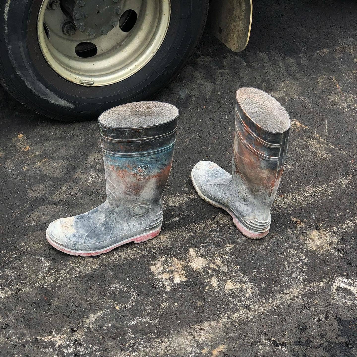 Job Van Dijk - Photo 1