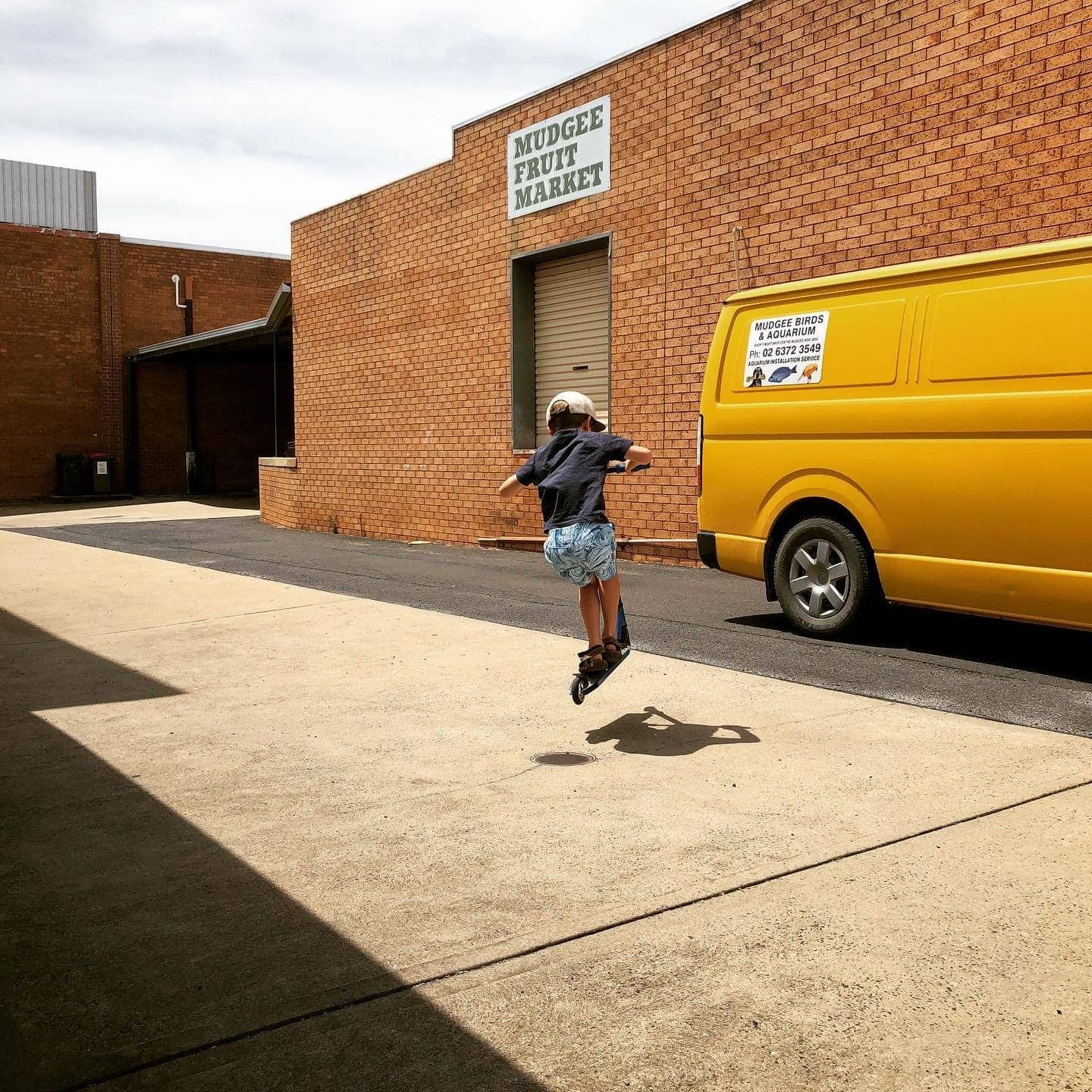 Job Van Dijk - Photo 2