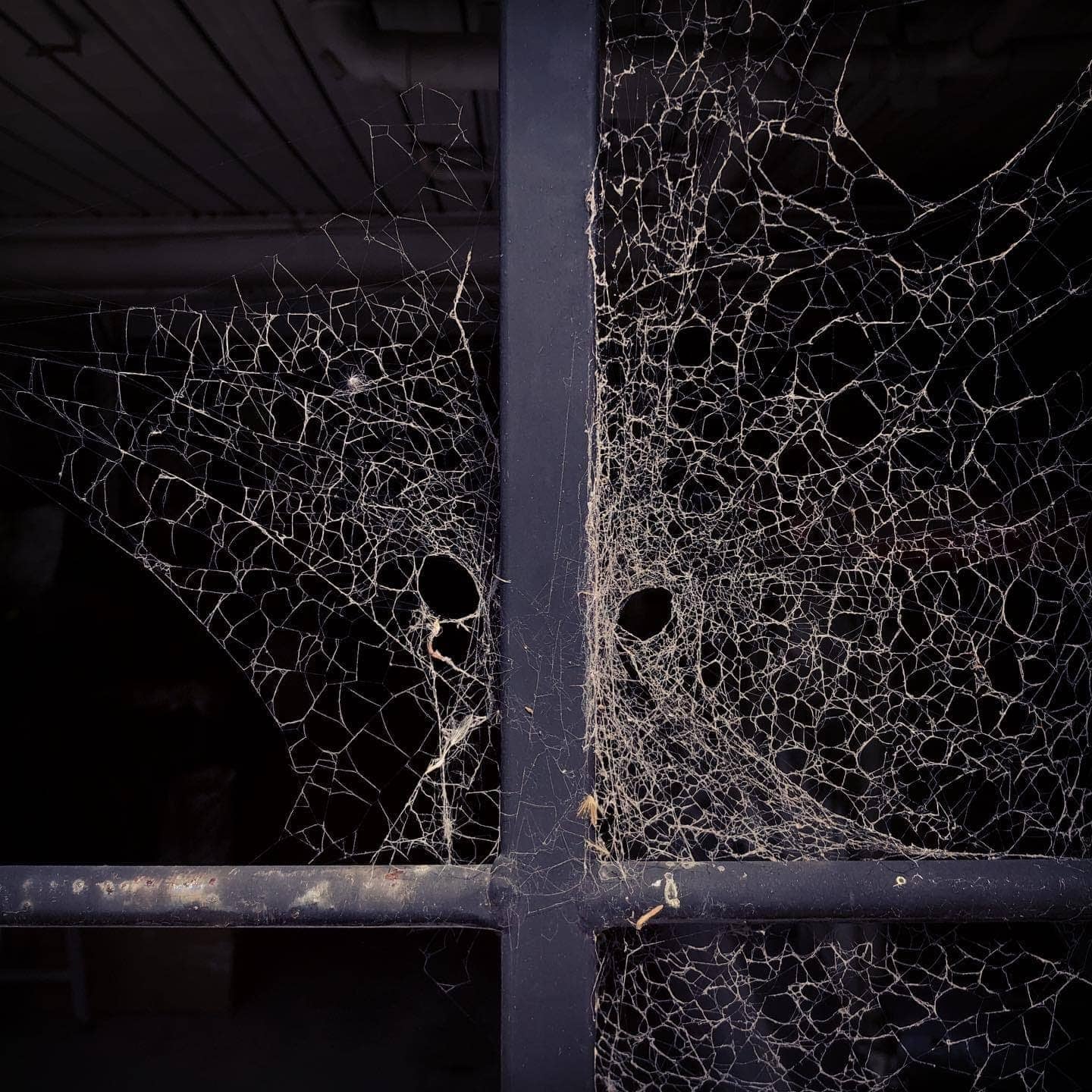 Job Van Dijk - Photo 4