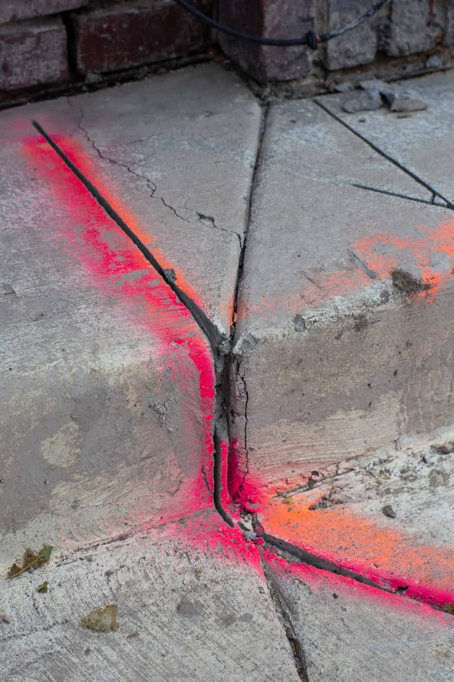 Johannes Elebaut - Photo 1