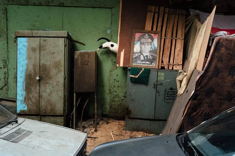 Jonathan Jasberg - Photo 1