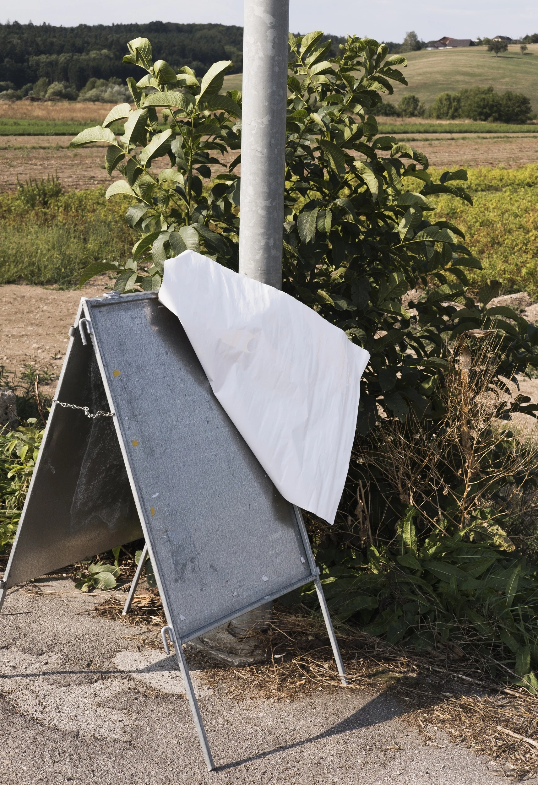 Juergen Voelkl - Photo 5