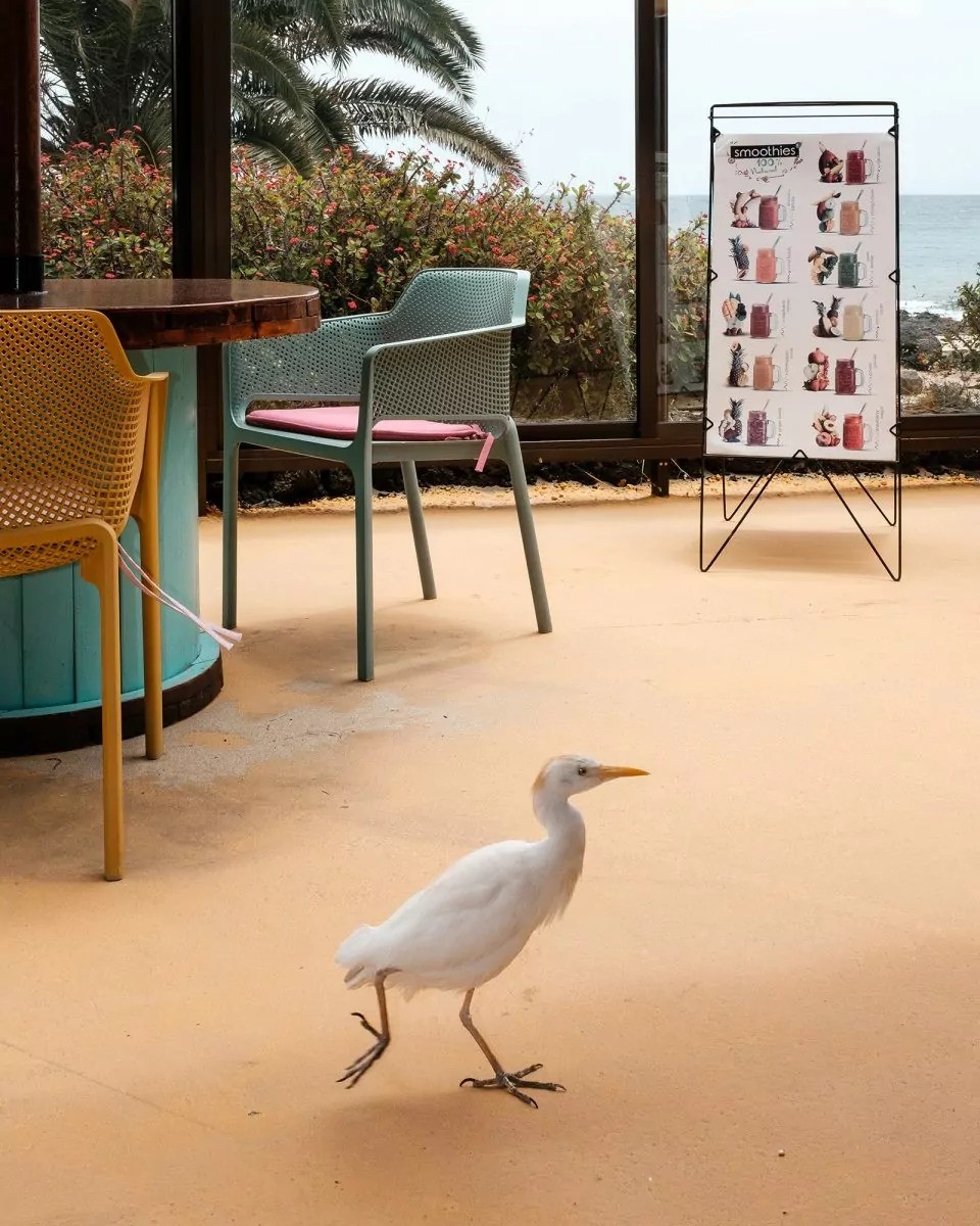 Julien Legrand - Photo 4