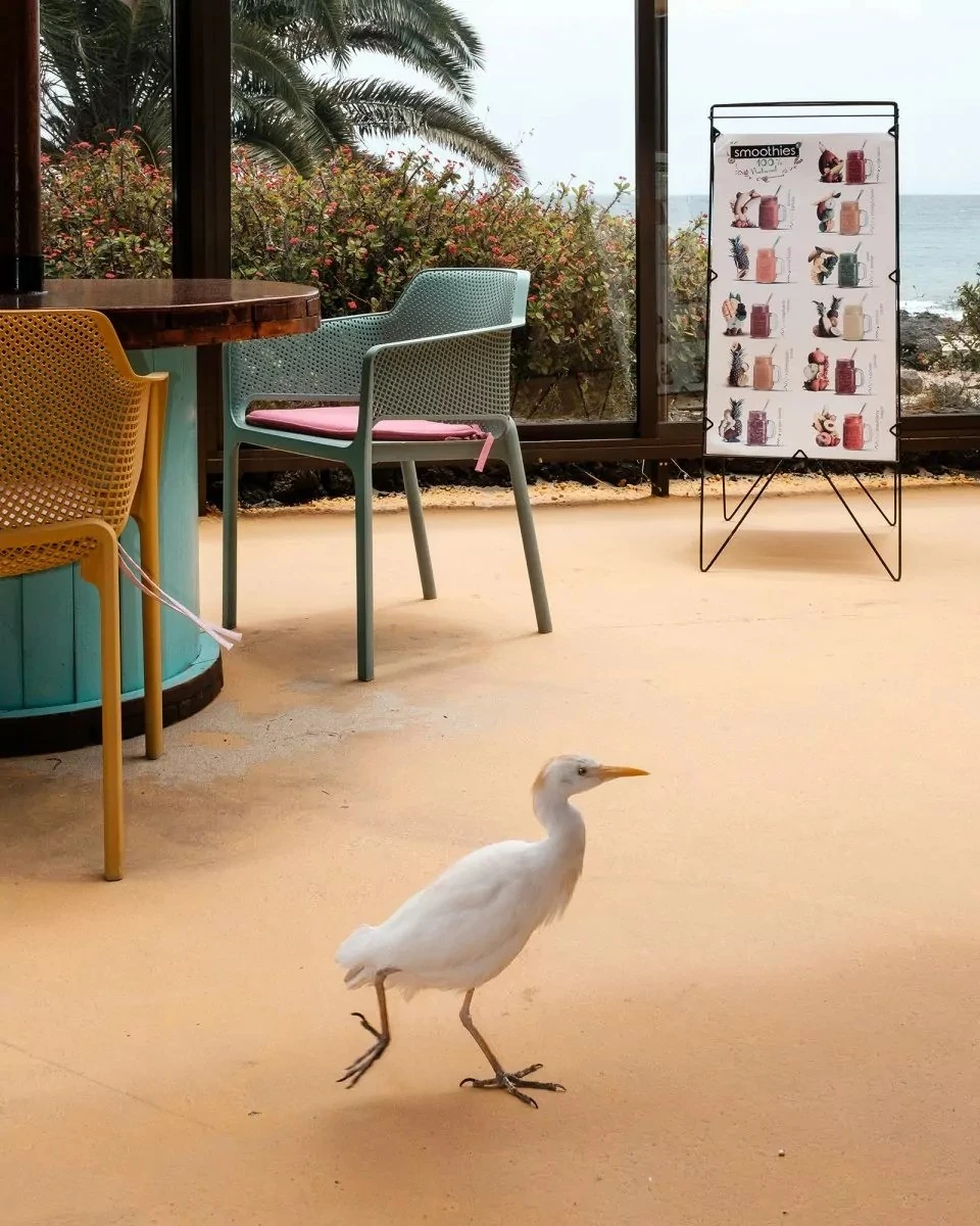 Julien Legrand - Photo 4