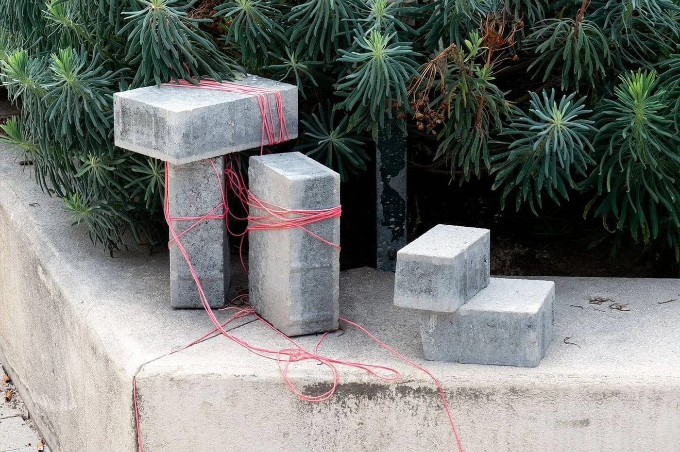 Justin Roque - Photo 2