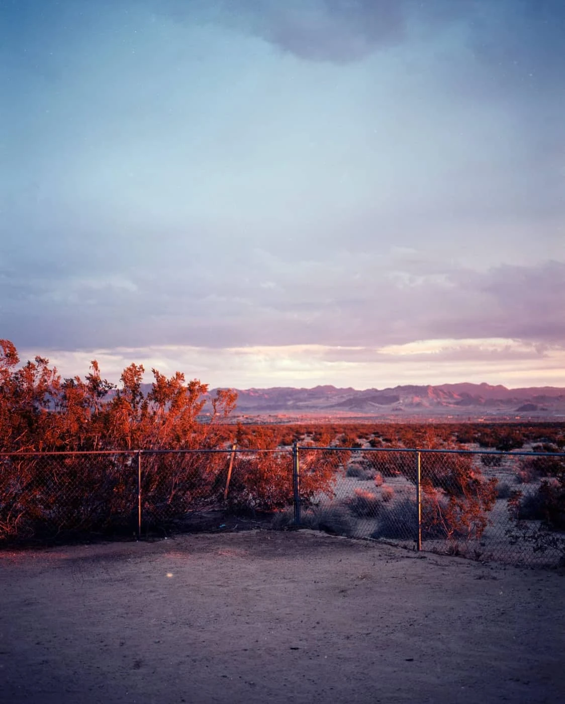 Kaitlin Miller - Photo 4