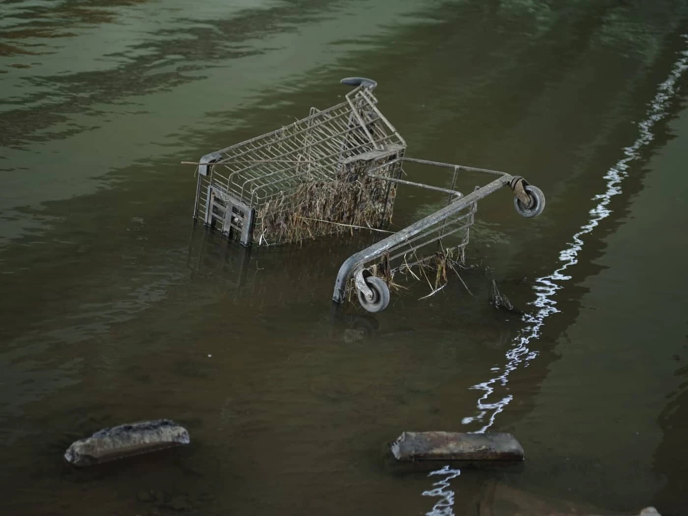 Katerina Kouzmitcheva - Photo 4