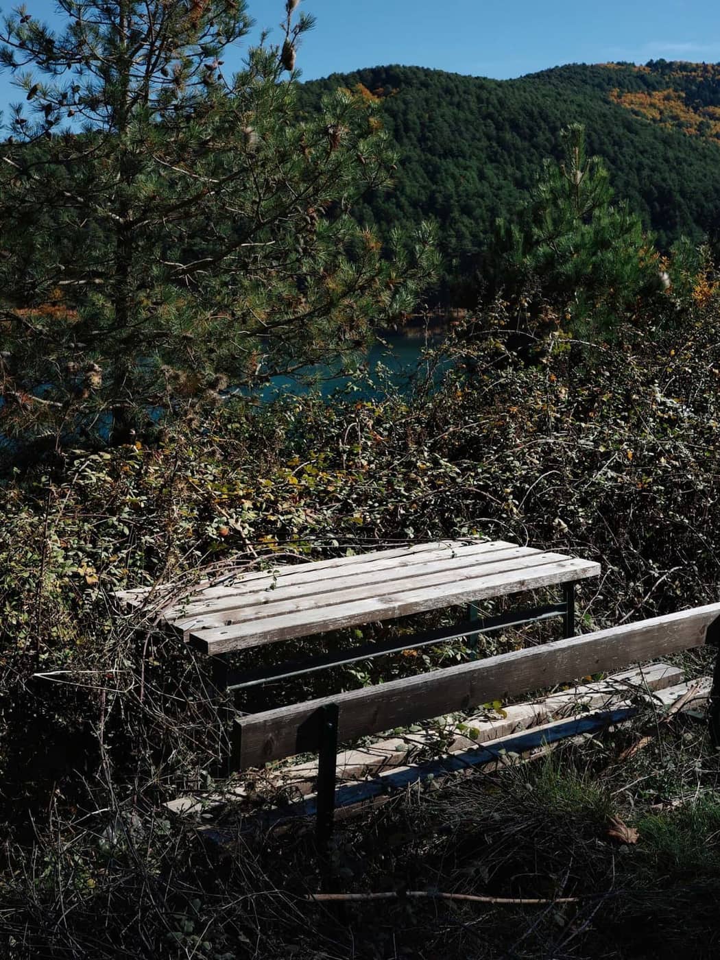 Kathrin Mundwiler - Photo 2