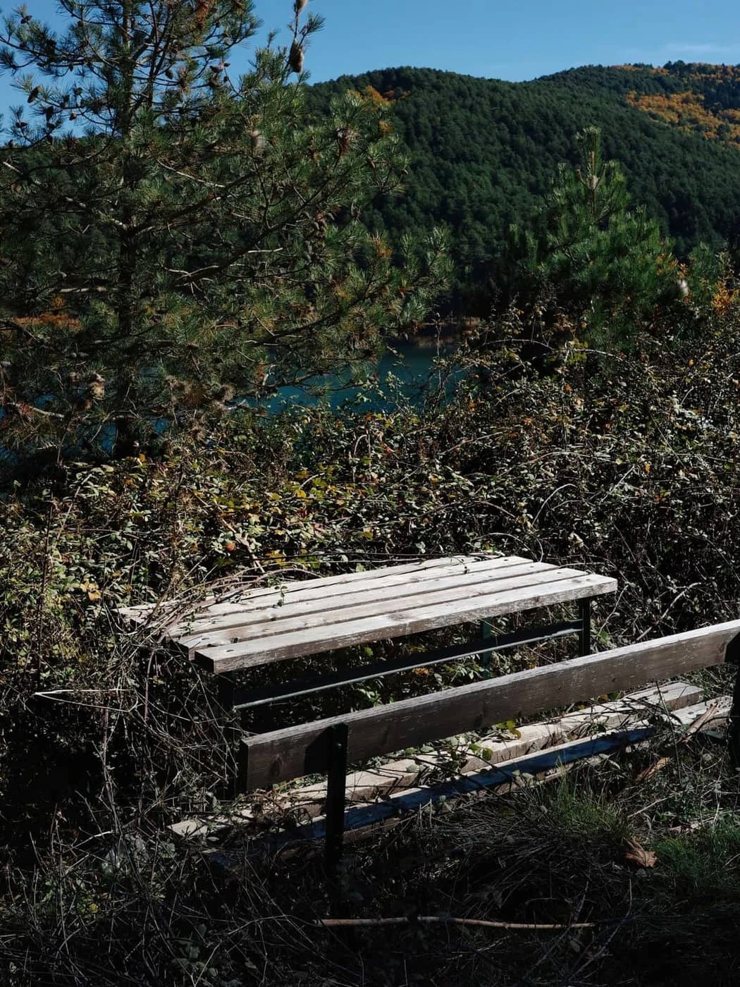 Kathrin Mundwiler - Photo 2