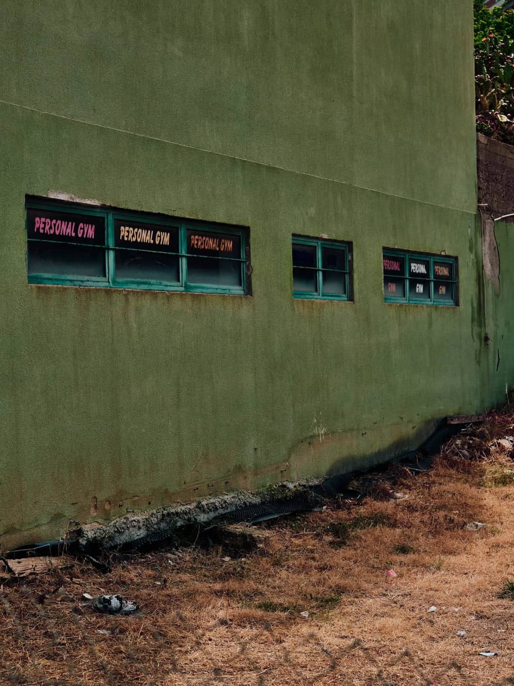 Kathrin Mundwiler - Photo 5