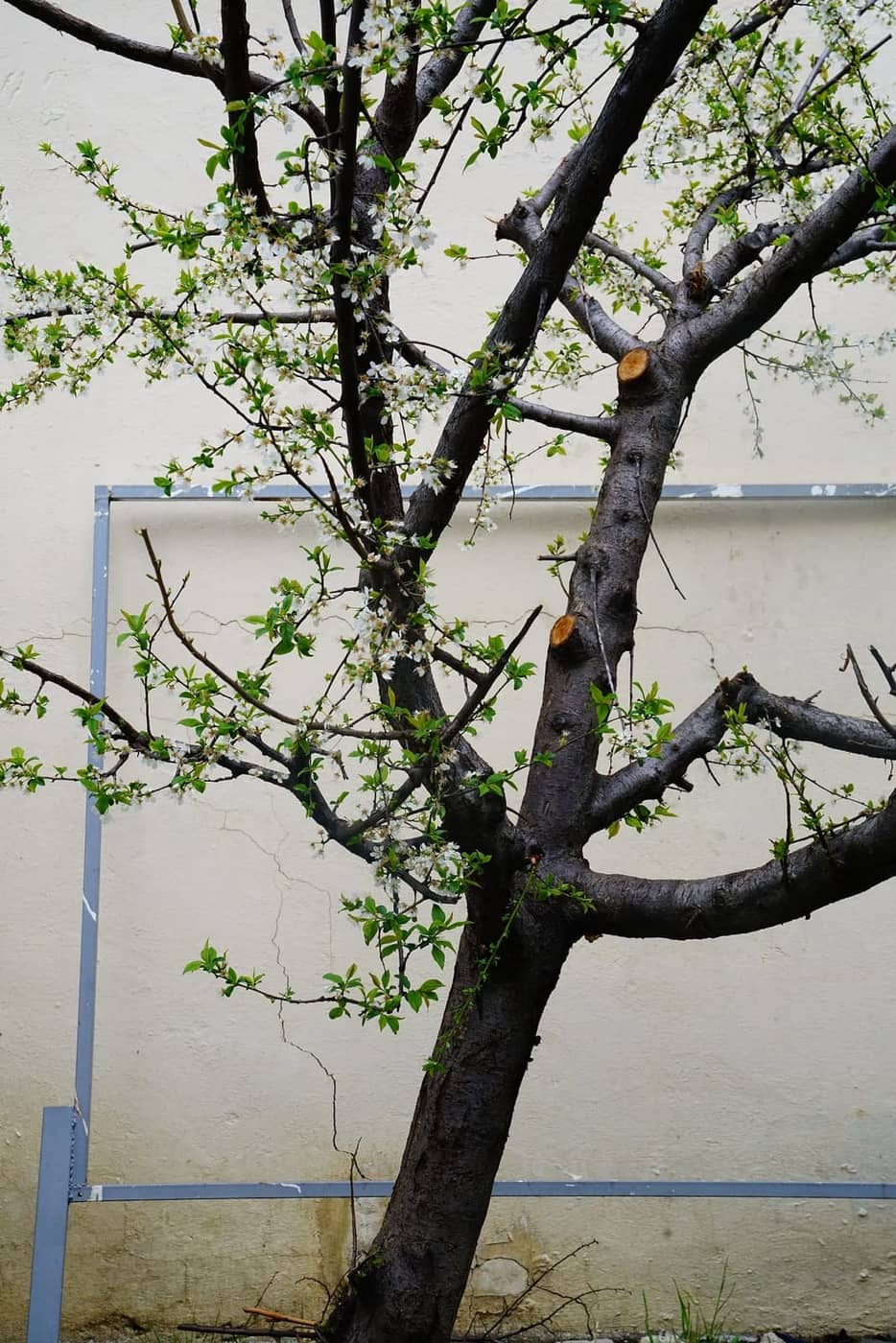 Kinga Owczennikow - Photo 1