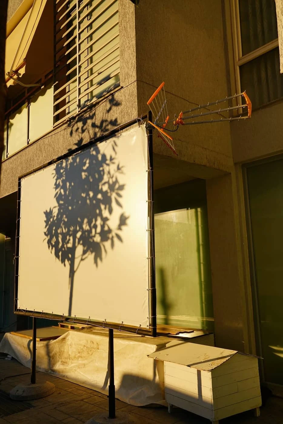 Kinga Owczennikow - Photo 6