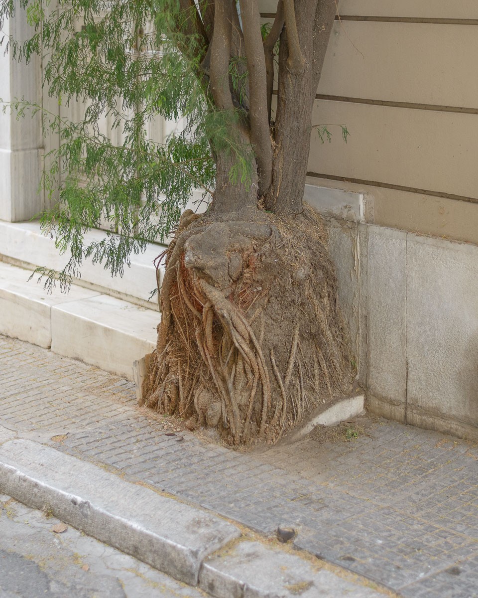 Konstantinos Tzavelas - Photo 3