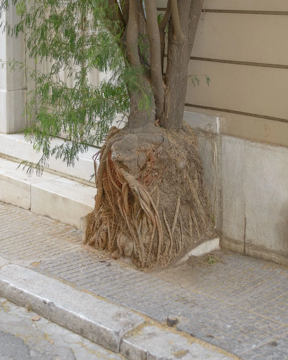 Konstantinos Tzavelas - Photo 3