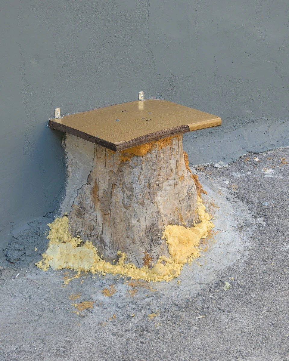 Konstantinos Tzavelas - Photo 4