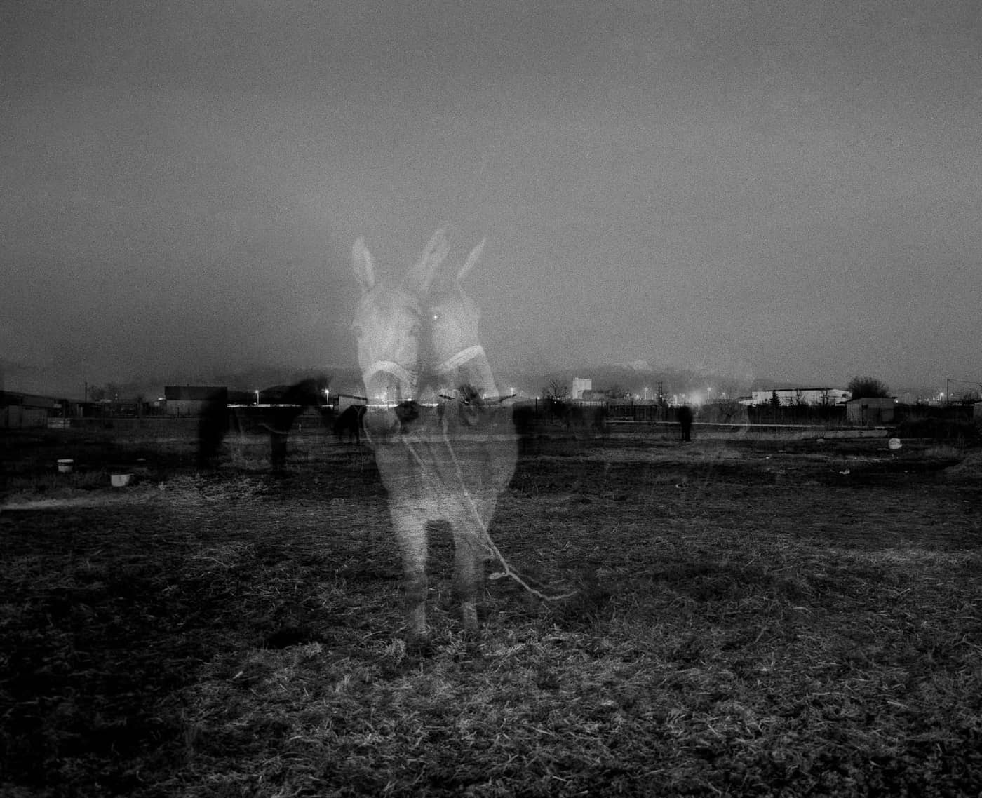 Kosmas Iliadis - Photo 4