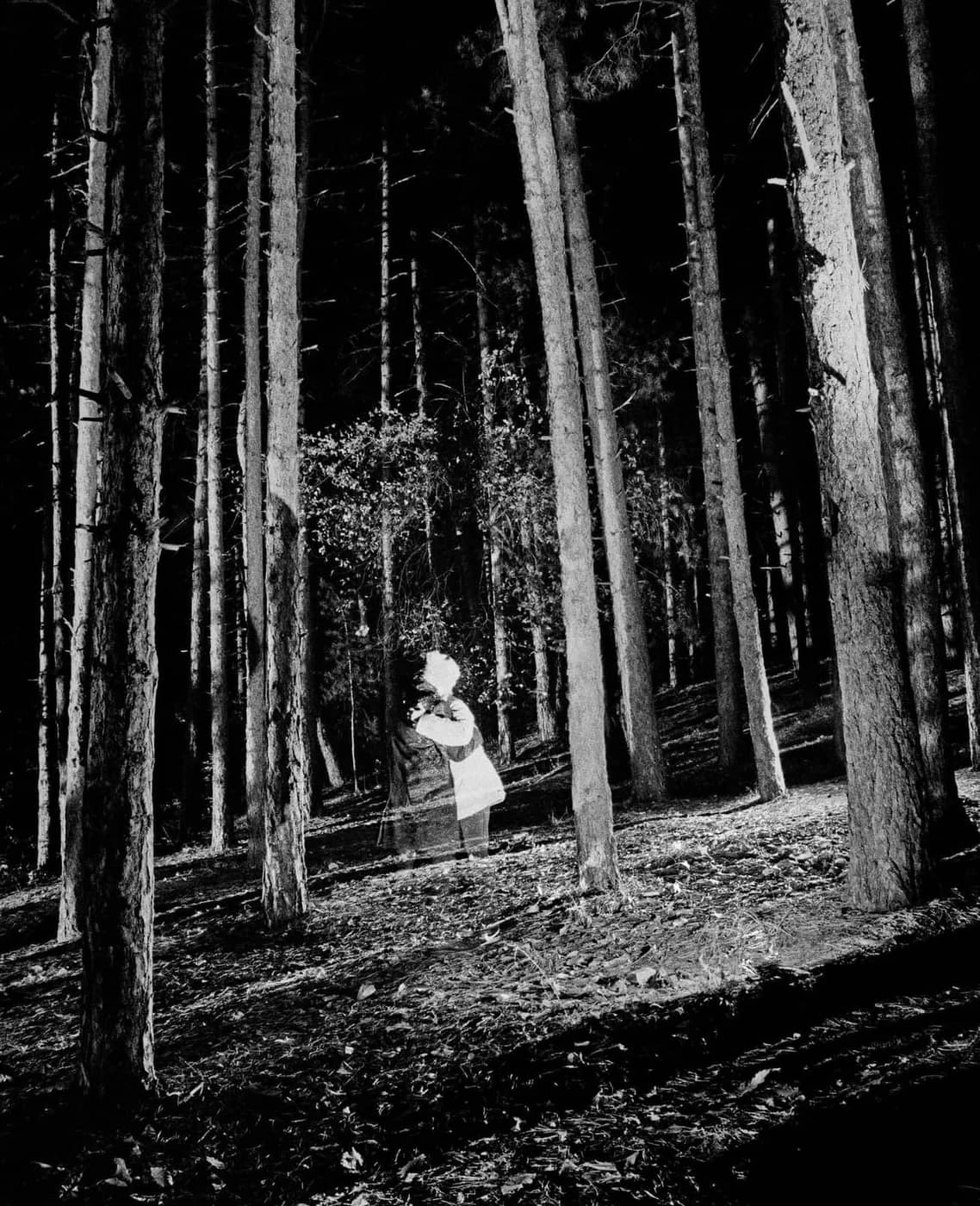 Kosmas Iliadis - Photo 5