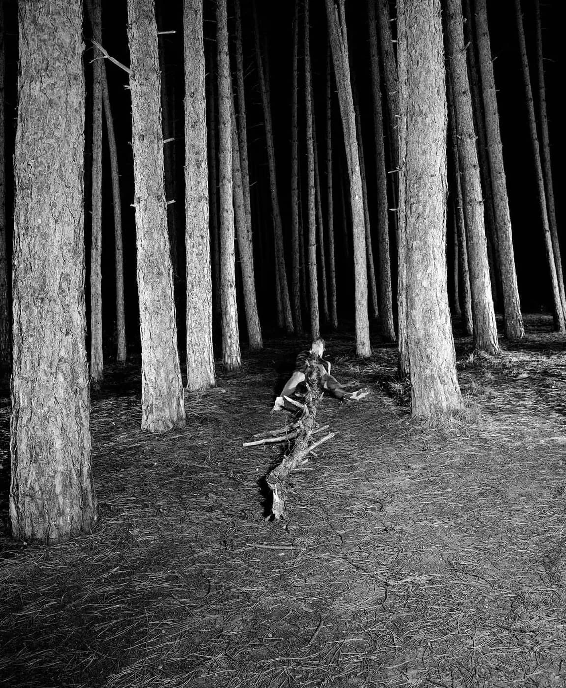 Kosmas Iliadis - Photo 6